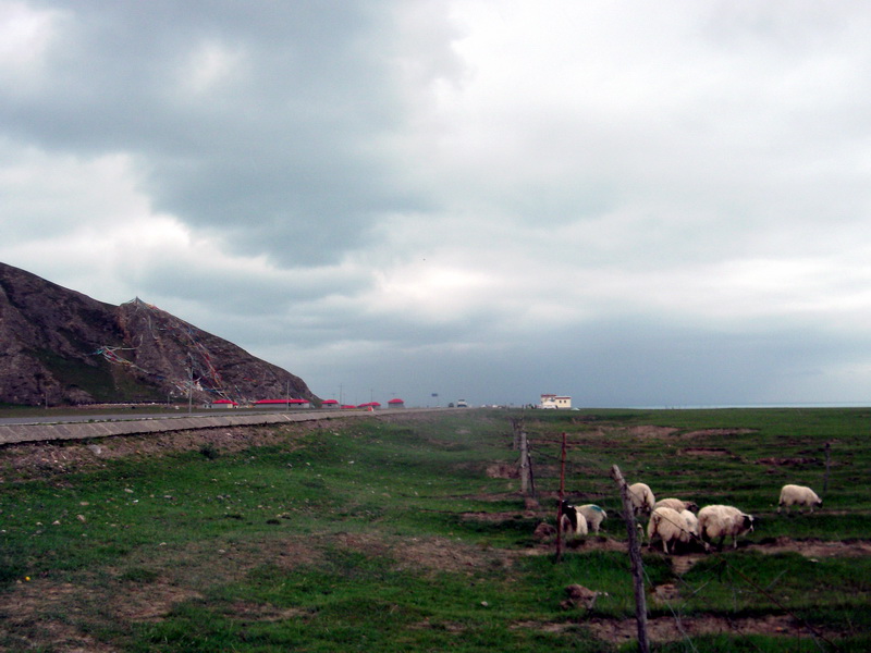 dscf0615.jpg