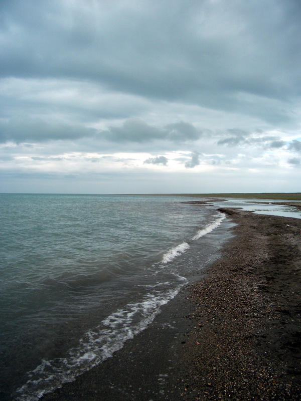 dscf0680.jpg