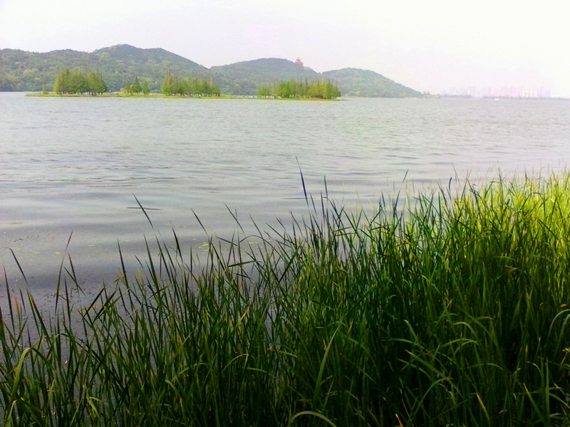 l005.jpg