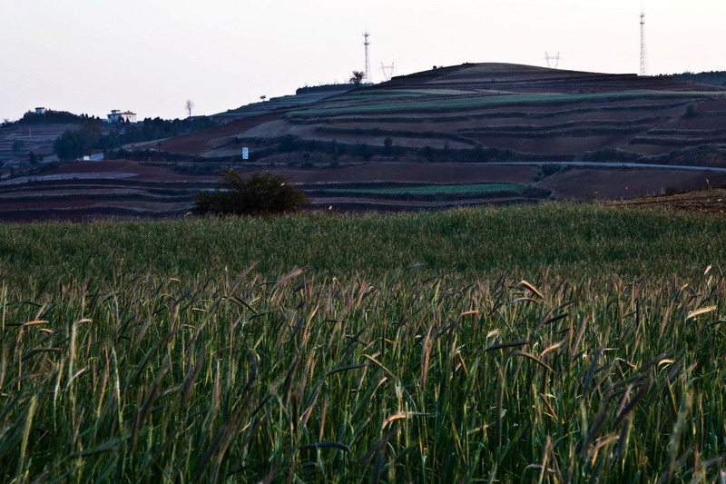 img_1674_缩小大小.jpg