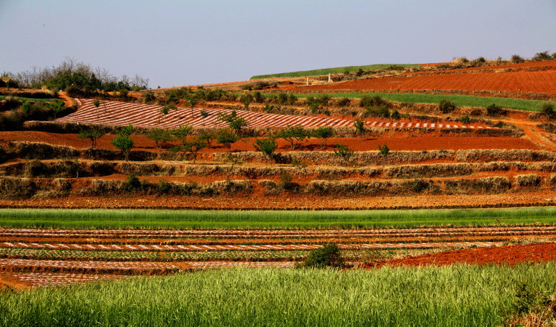 img_1761_缩小大小.jpg