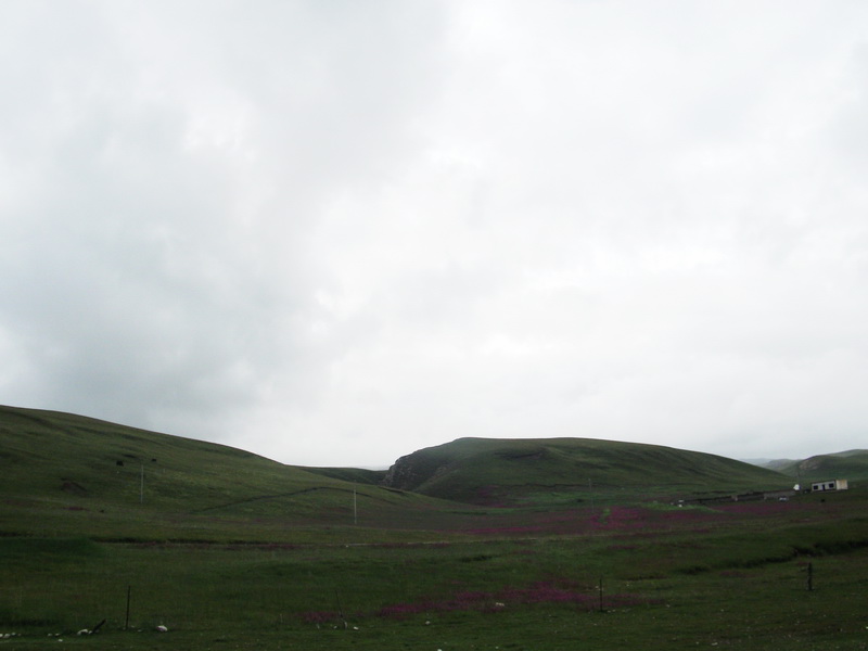 dscf0758.jpg