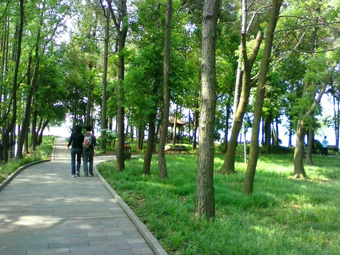 l007.jpg