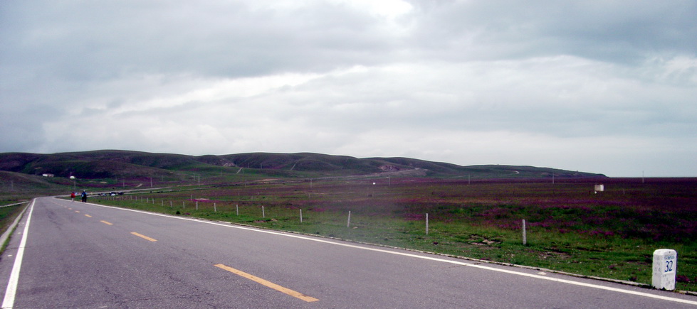 dscf0764.jpg