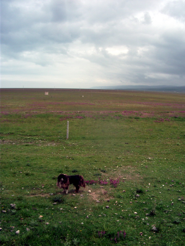 dscf0765.jpg