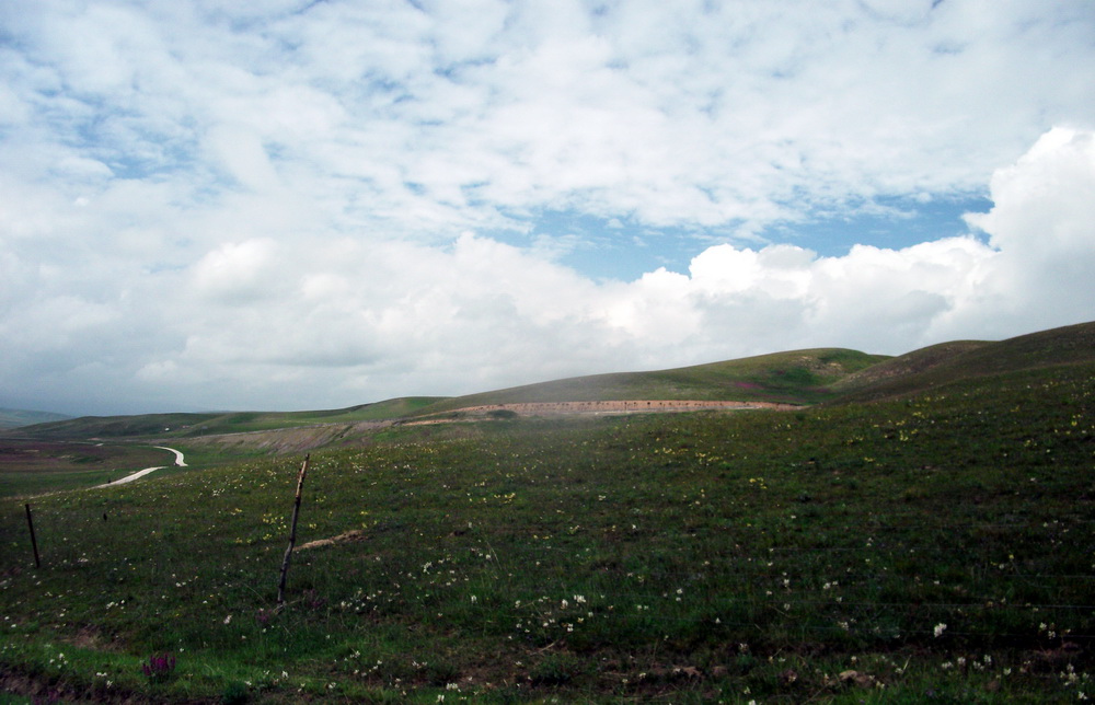 dscf0767.jpg