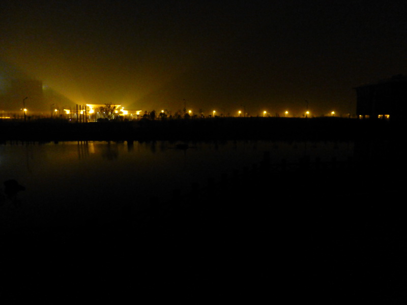 p1190948.jpg