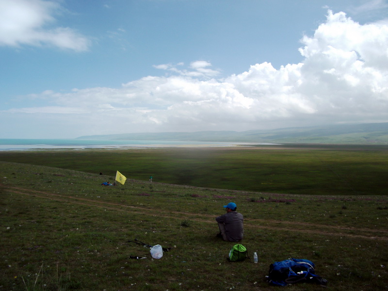 dscf0772.jpg