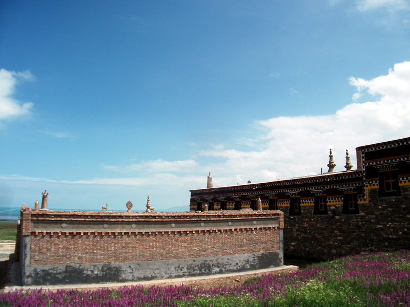 dscf0780.jpg