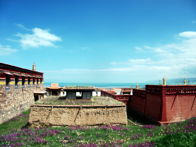 dscf0782.jpg