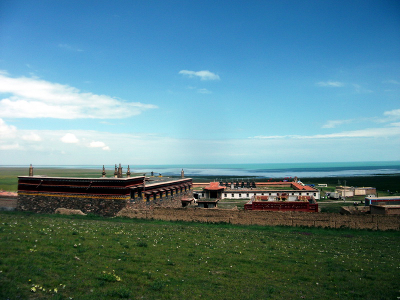 dscf0784.jpg