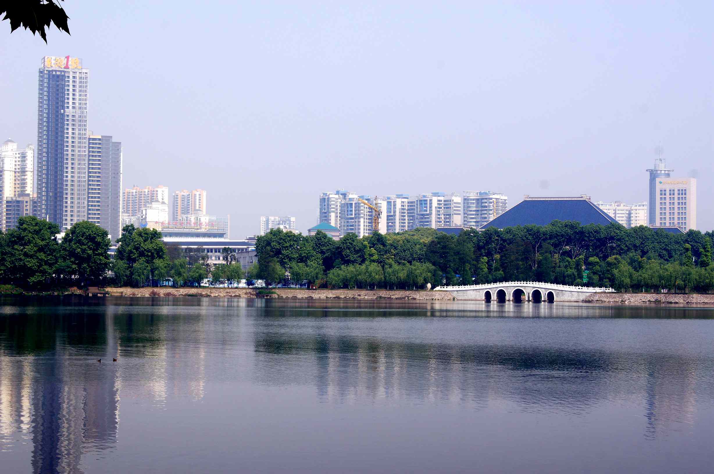 dsc09891_.jpg