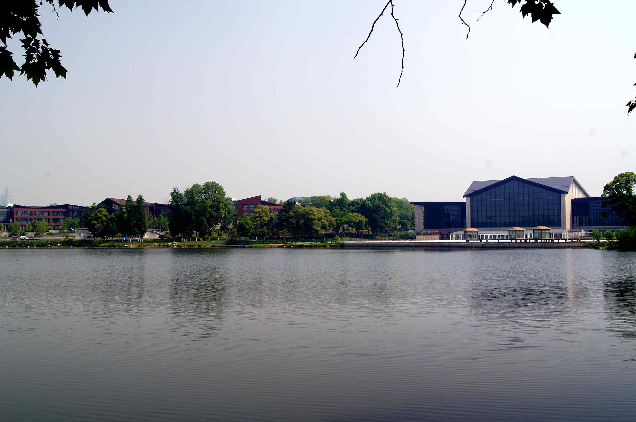 dsc09892_.jpg