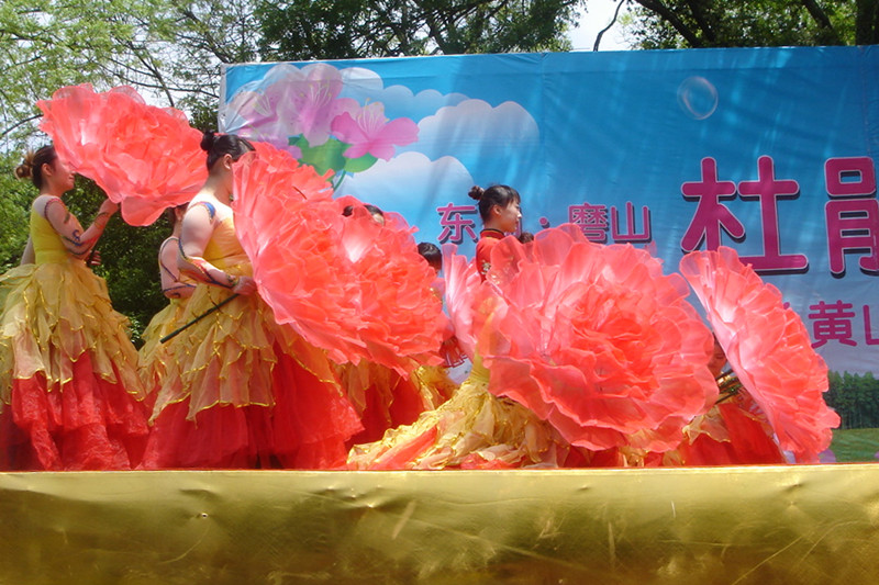 dsc05664_.jpg