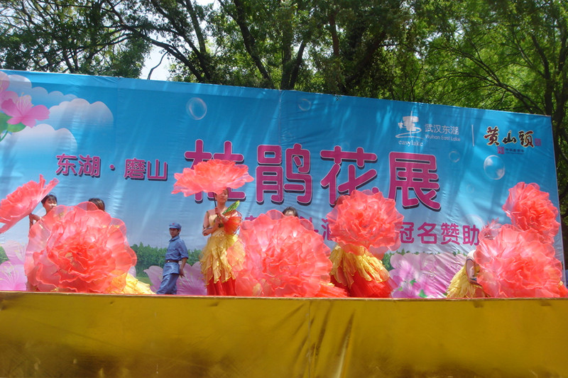 dsc05668_.jpg