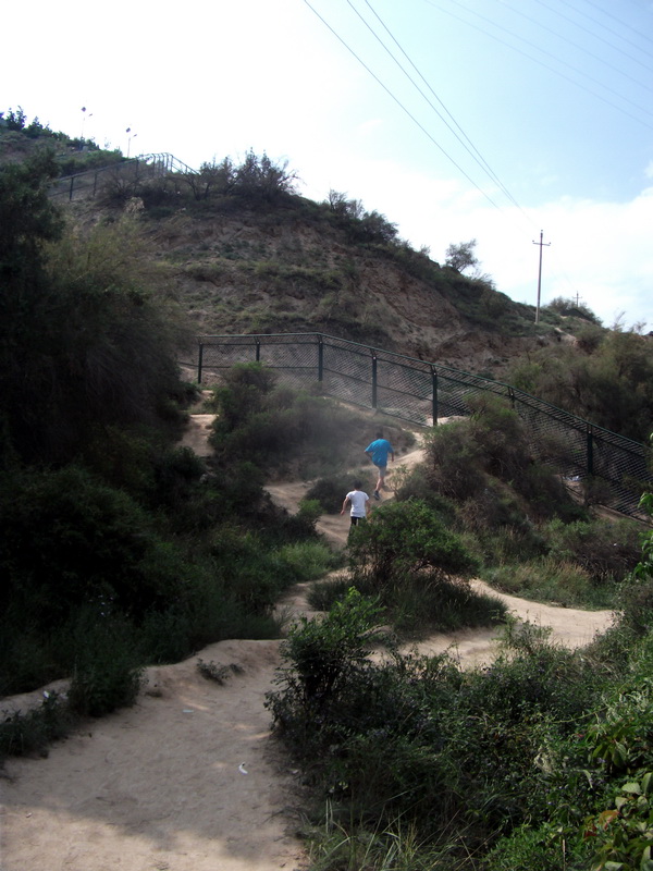 dscf0810.jpg