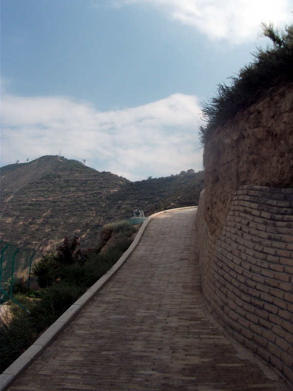 dscf0813.jpg