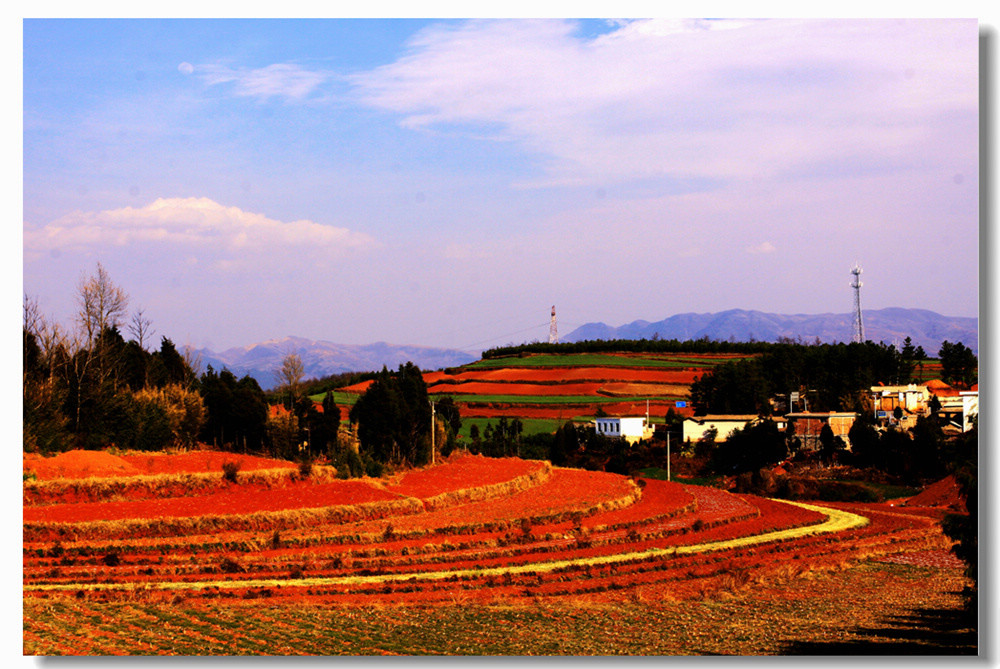 3月13日 (45).jpg