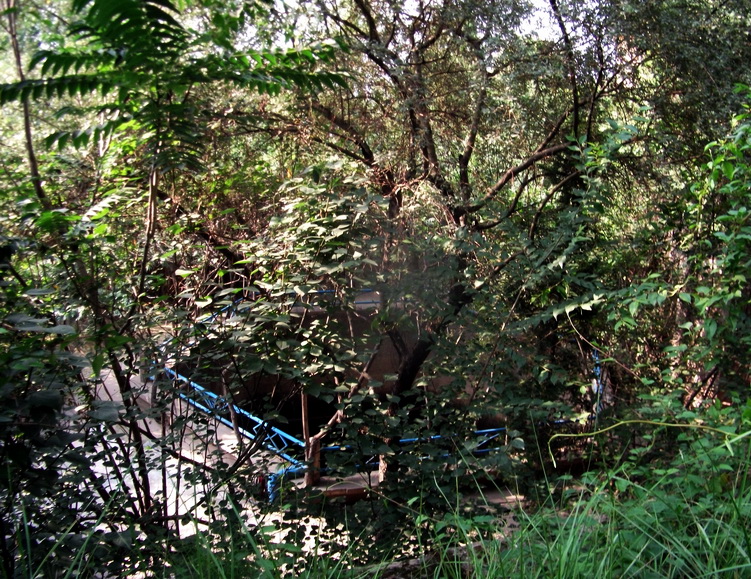 dscf0833.jpg