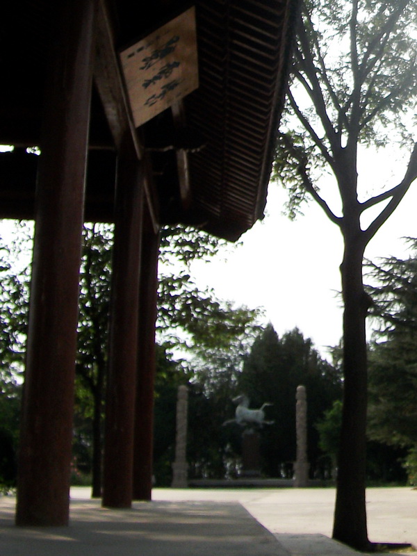 dscf0853.jpg