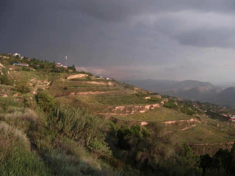 dscf0882.jpg
