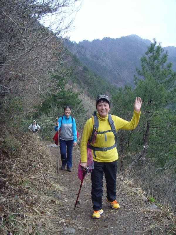 snv30694.jpg