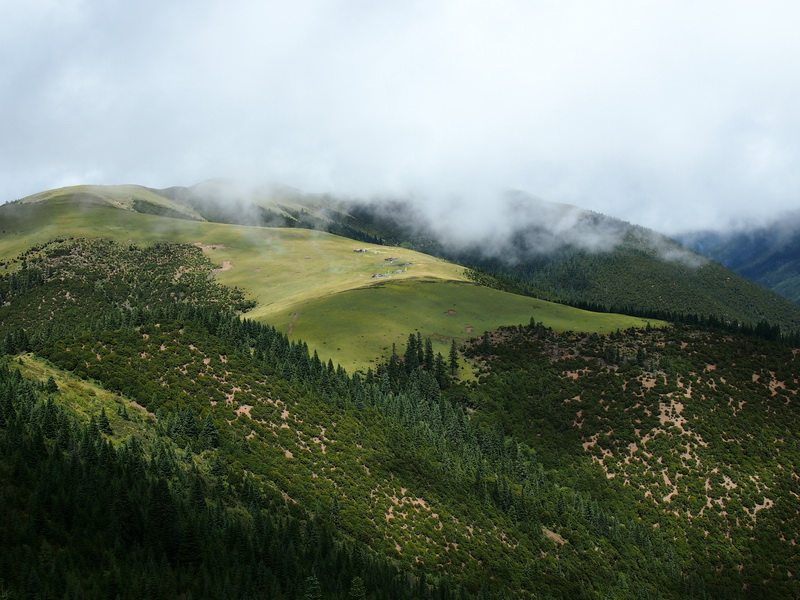 p9083294.jpg