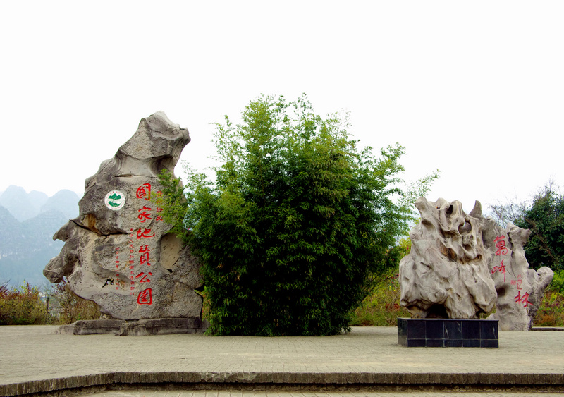 imgp9620a.jpg