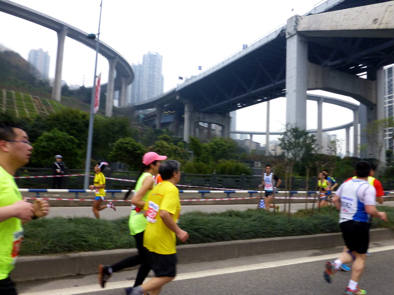 p1190565.jpg