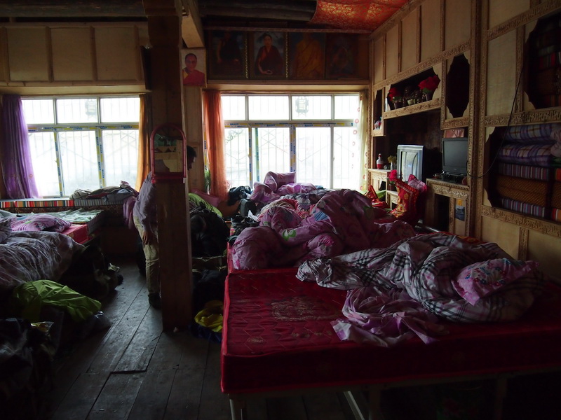p9093571.jpg