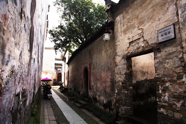 d7.jpg