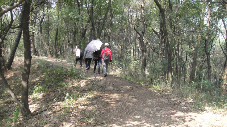 dsc01214.jpg