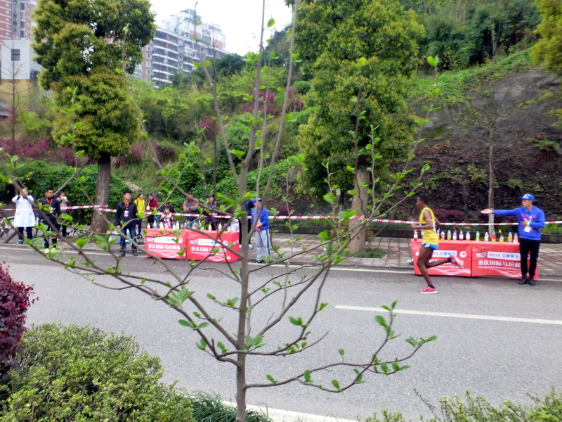 p1190593.jpg