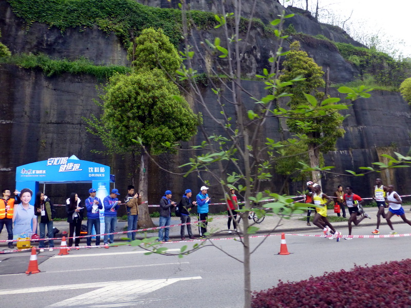 p1190595.jpg