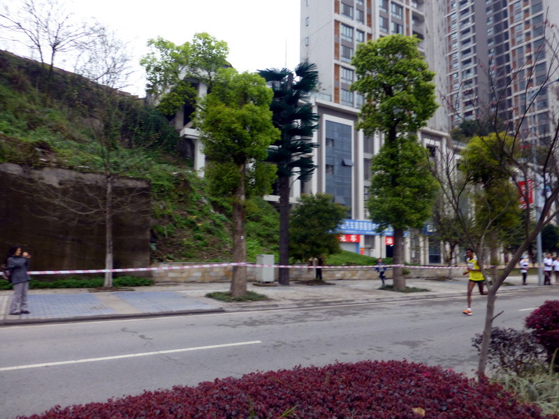 p1190596.jpg