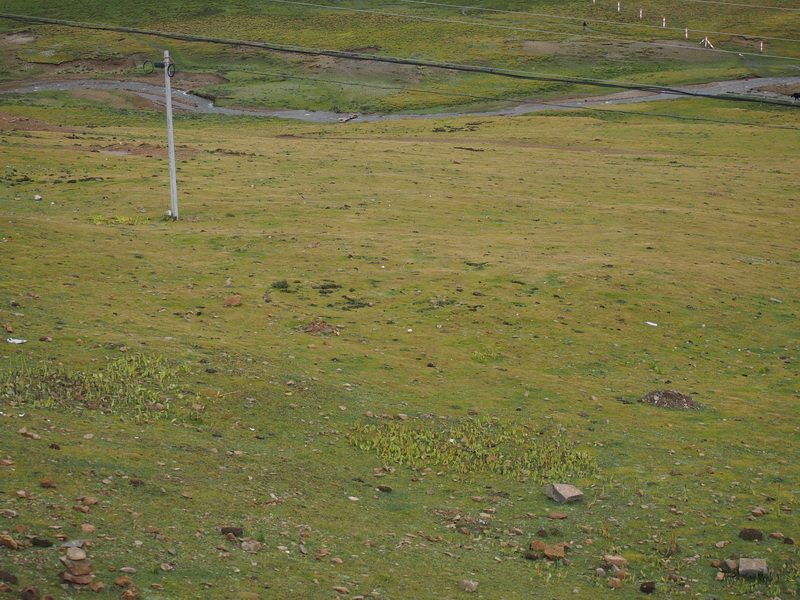 p9093606.jpg