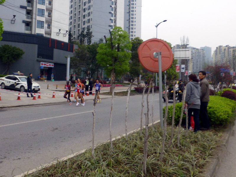 p1190613.jpg