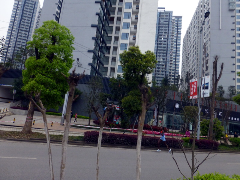p1190614.jpg