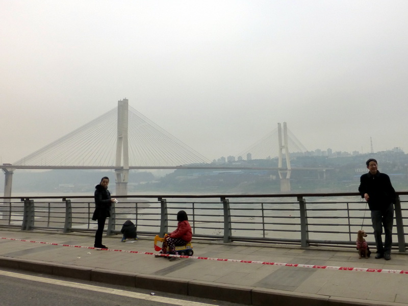 p1190647.jpg