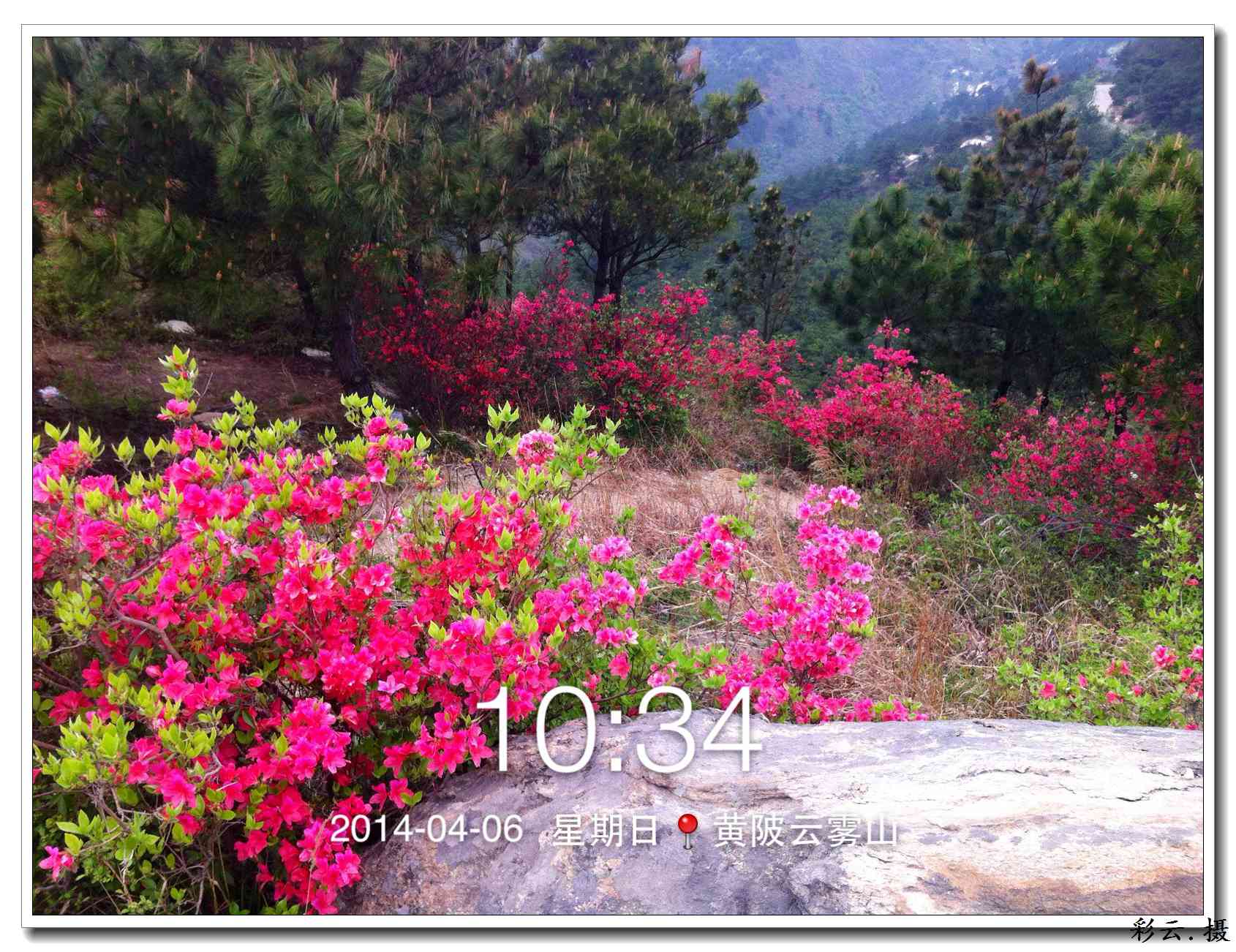 qqͼƬ20140406195820.jpg