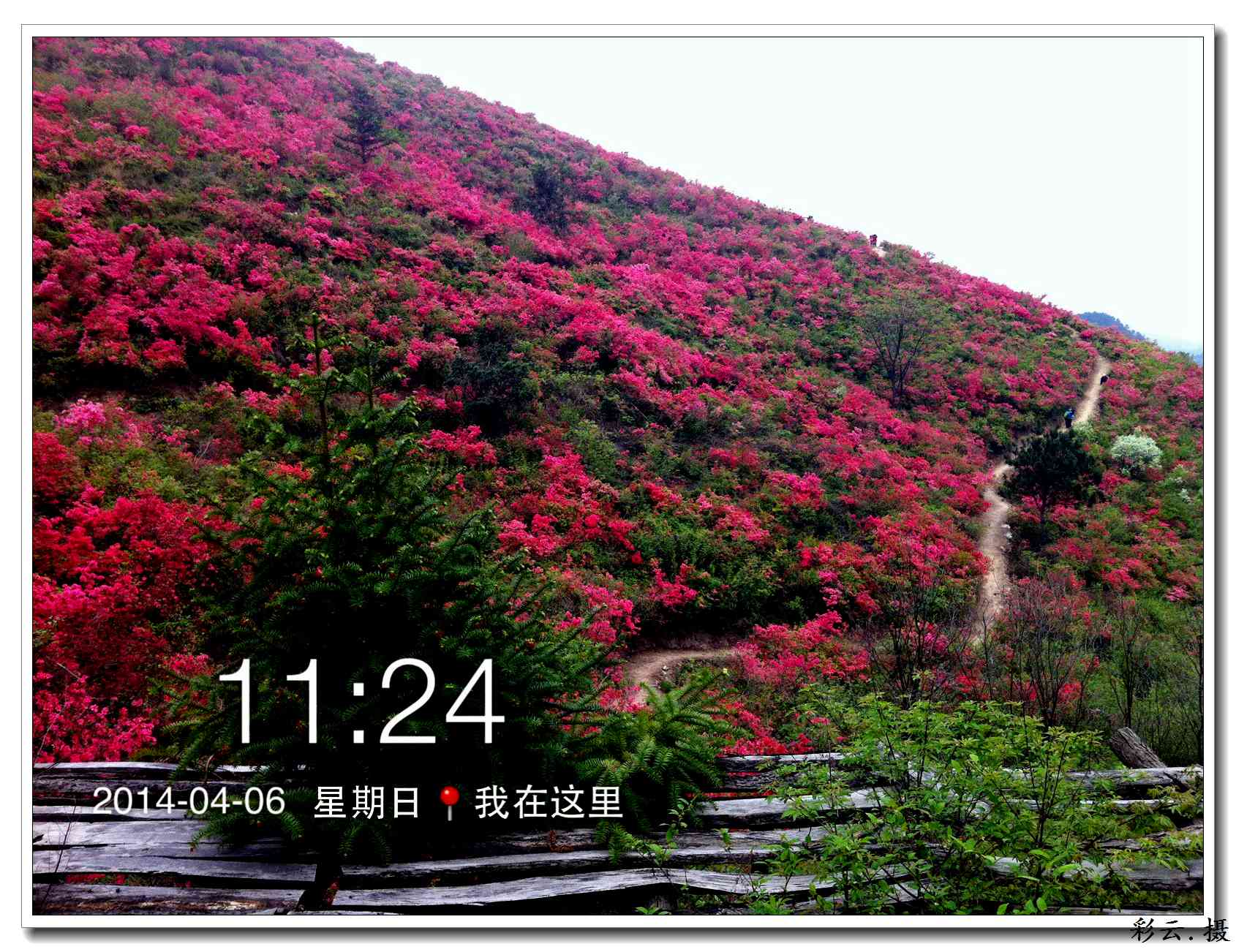 qqͼƬ20140406200417.jpg