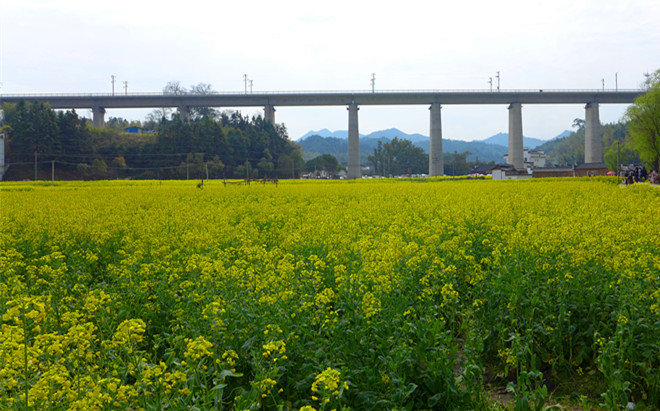 p1090980_.jpg