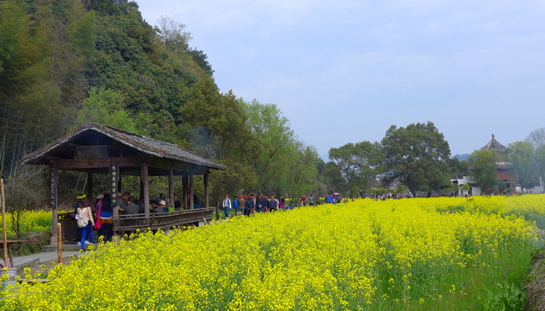 p1090981_.jpg