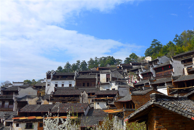 p1100032_.jpg