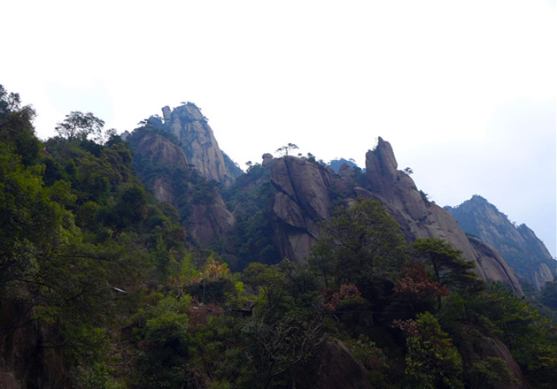 p1100160_.jpg