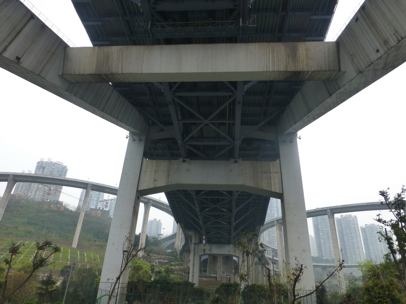 p1190694.jpg