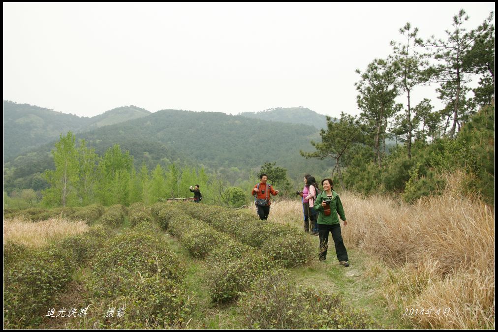 img_1935.jpga.jpg