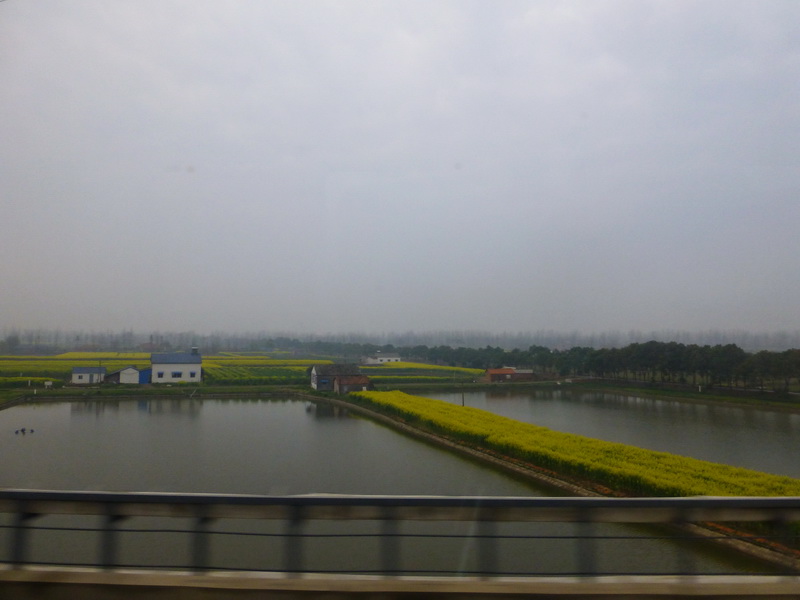 p1190746.jpg