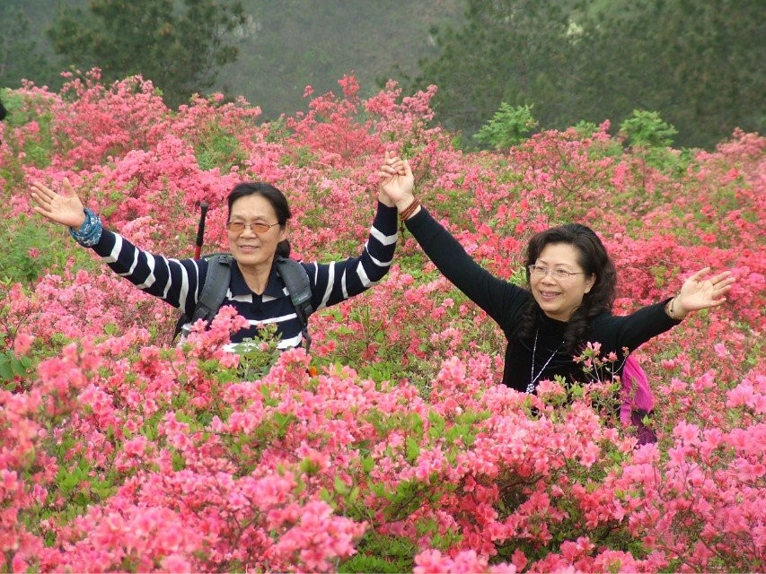qqͼƬ20140407195351.jpg