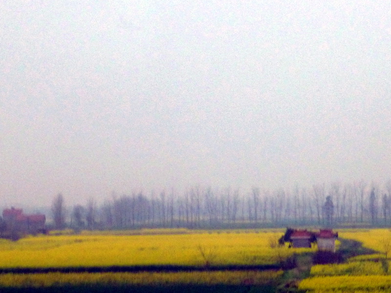 p1190751.jpg